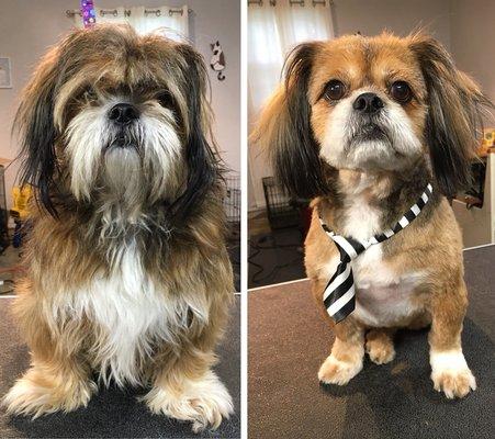 Ruff Cuts Pet Grooming