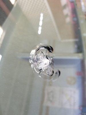 Safety Window Automotive Glass