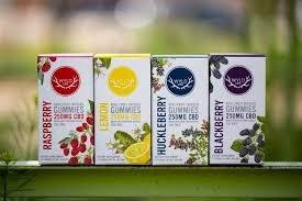 WYLD CBD 25 mg. Gummies THC Free