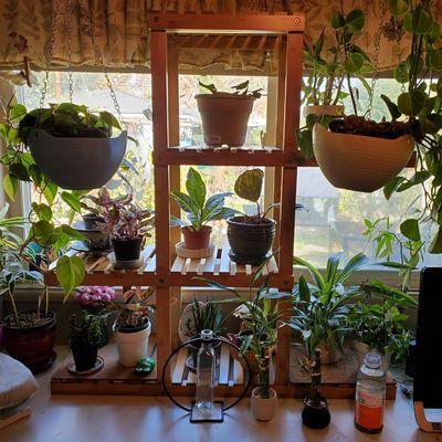 The General Handyman