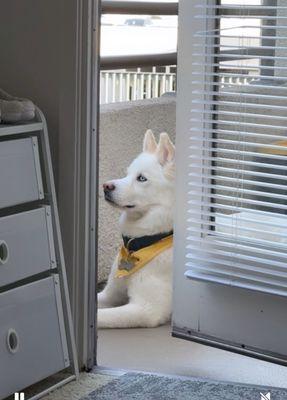 Park West Apartments