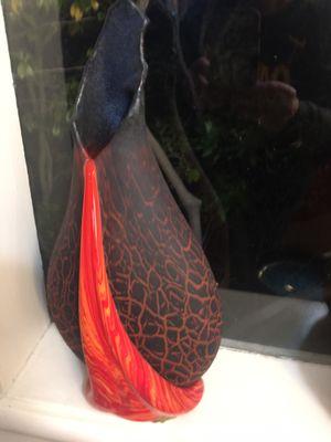 The piece of glass we bought, although I'm sad to see that Yelp says that Art House has closed.