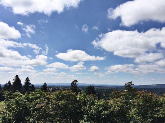 Christopher Bridge Winery