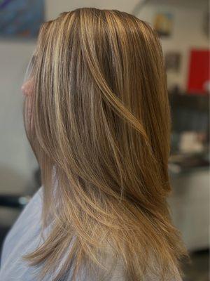 Blonde Highlights
