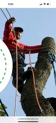 Indy Master Tree Services