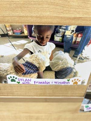 Paw Boutique Pet Shop