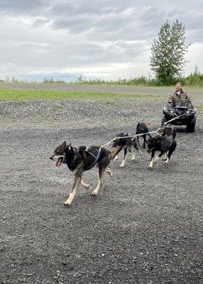 Martin demonstrating mushing with an ATV