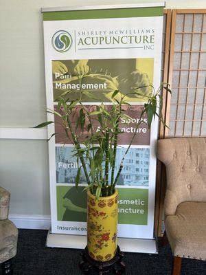 Shirley McWilliams Acupuncture