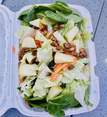 Entree Size - Baby Loves Salad