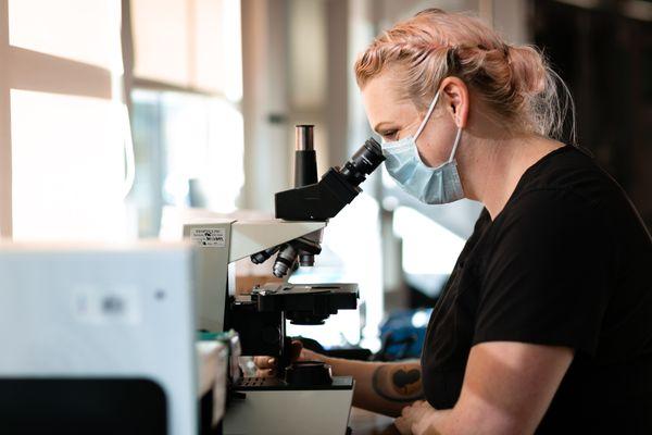 Tabatha exploring the microscopic world