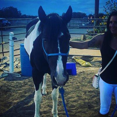 Promenade Horsemanship Academy