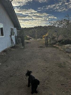 Pioneer Construction