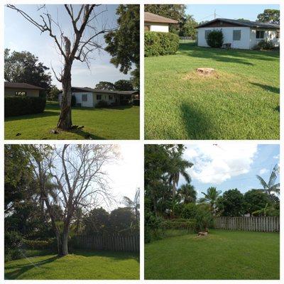 Hartlief Tree Service