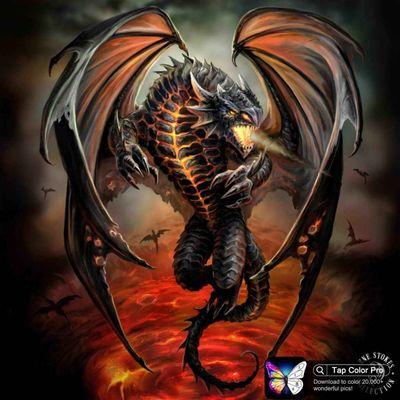 Helping Hands Multi Service Industry