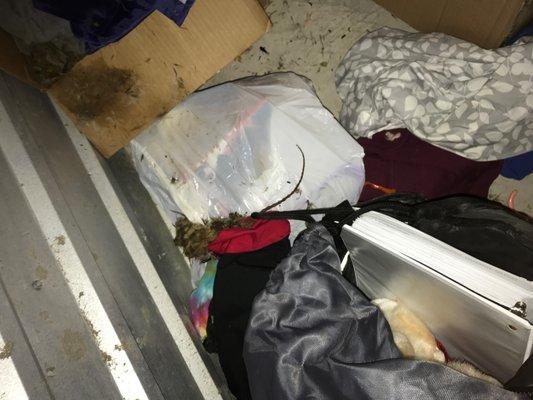 Rat infested storage unit- rude employees- have video of hostile worker...