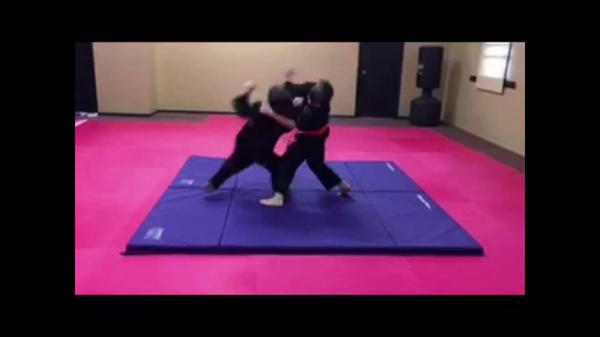 American Karate & Kung Fu