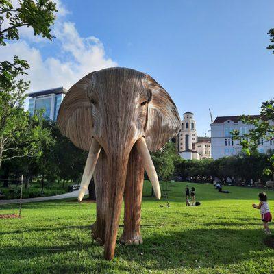 The Great Elephant Migration