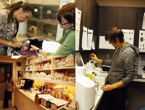 Overlook Veterinary Hospital