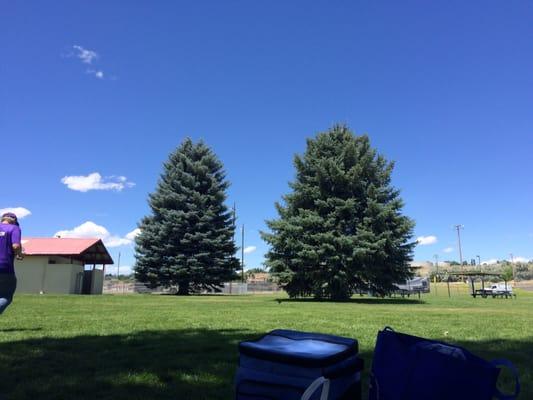 Johnny Appleseed Park