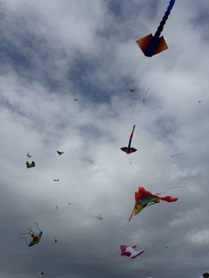 Skyward Kites