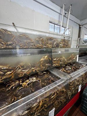 Lucky Seafood Wholesale