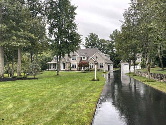 Rose of Sharon's work