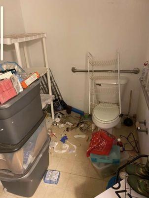 Quartz Cleaning Service