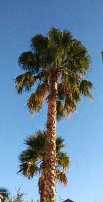 Rancho Las Brisas Master Homeowners Assoc