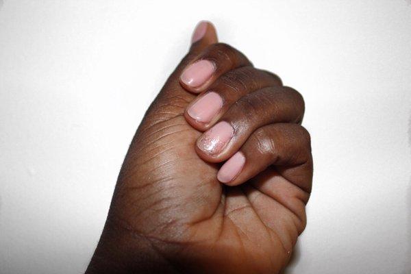 They did an amazing job!