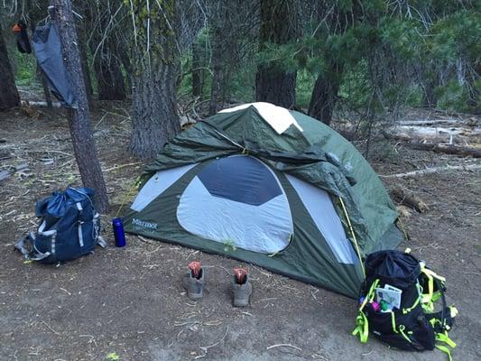 2 person tent provided by Treks and Tracks for our 3 day survival course in Yosemite!