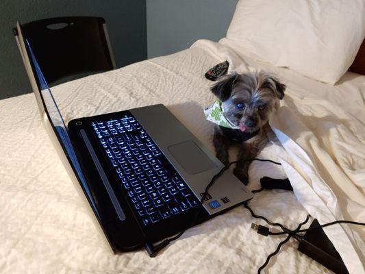 Much faster than expected WiFi speeds.