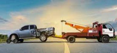 Lion Exotics Collison Center