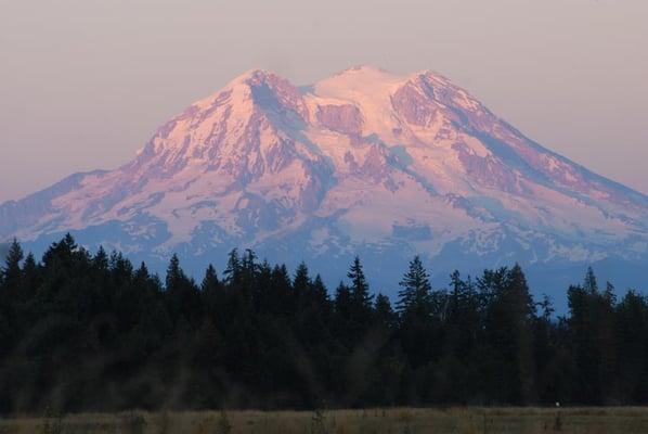 We have the best view!