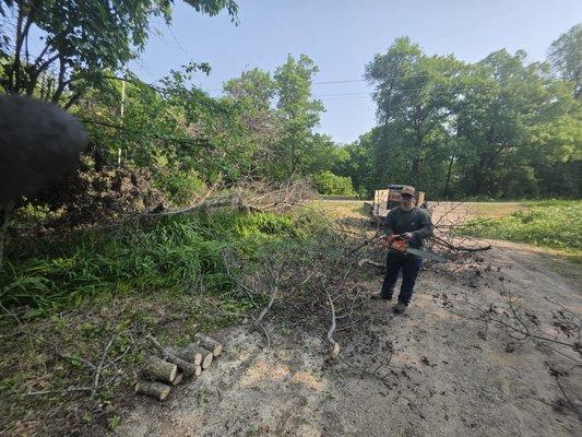 Benson Tree Services