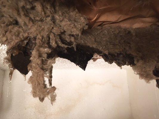 RDS Fire & Water Damage Restoration
