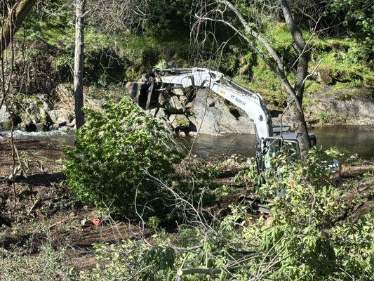 We had started this clearing with hand machetes and ropes. FTC was faster!