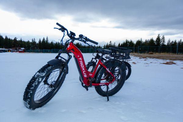 New Troxus eBikes with a industry leading 5 year/5000 mile warranty are in-stock now!