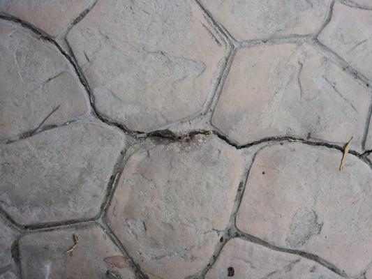 Reyes Professional Tree Services