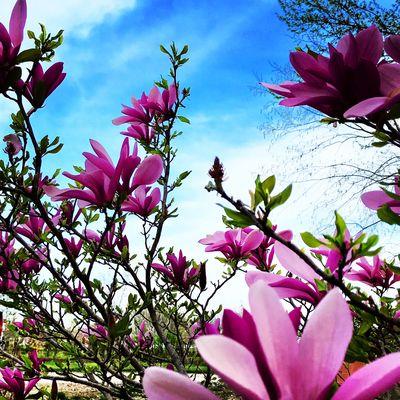 Serenity Landscape Design