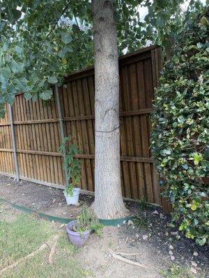 Leatherface Tree Service