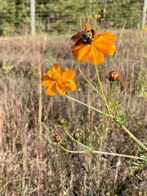 Strolling the grounds