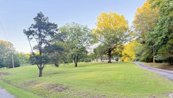 Tellez Outdoor Solution