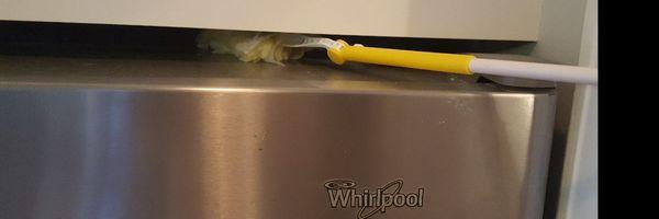 Sudsy Sponge Cleaning