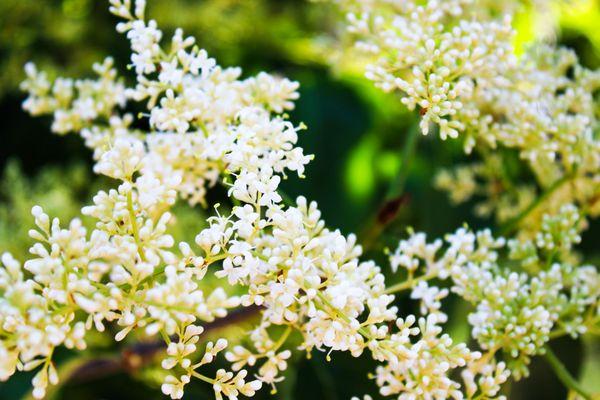 Sparkling Shots Photography