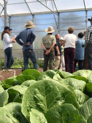 Merchant's Garden LLC