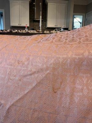 Professional Cleaners