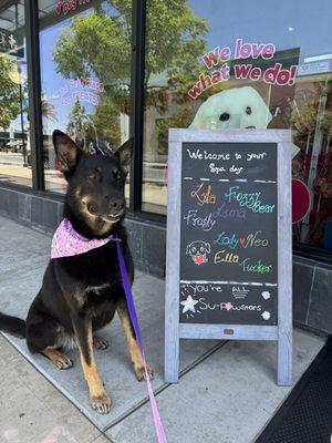 Woof Gang Bakery & Grooming