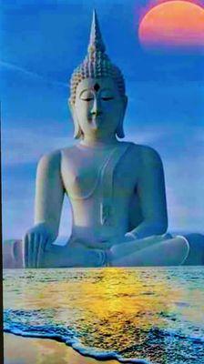 Mystical Boutique Psychic & Tarot Card Reader