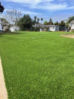 Gorilla Turf & Hardscape