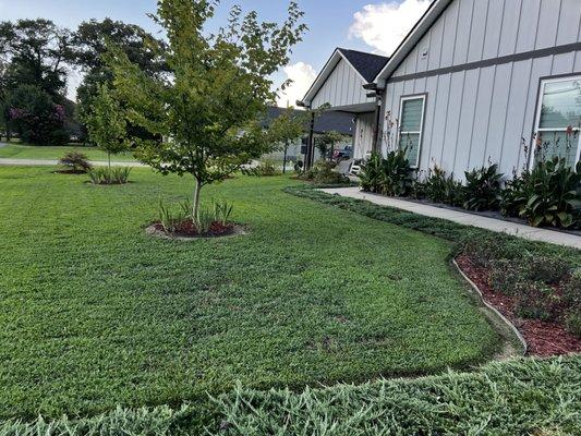 Love the smell of freshly mowed grass.